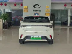 2025 BYD Dolphin 420km Freedom — фото 5