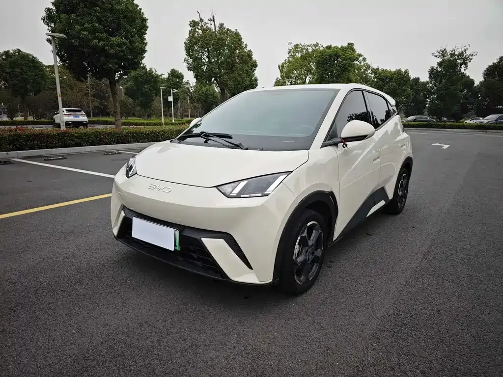 2024 BYD Seagull EV Glory 405km Flying
