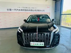 2025 Hongqi HS3 PHEV 117km, чёрный — фото 15