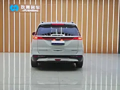 2021 Kia Carnival 2.0T Flagship, белый — фото 15