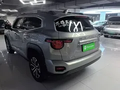 2023 Haval Dargo PLUS 2.0T 2WD Plus — фото 5