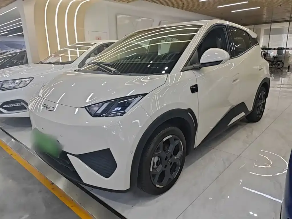2025 BYD Seagull Smart Driving 305km Freedom