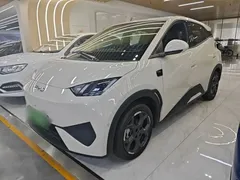 2025 BYD Seagull Smart Driving 305km Freedom, белый — фото 2
