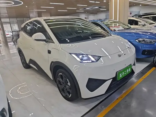 2025 BYD Seagull Smart Driving 305km Freedom