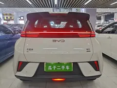2025 BYD Seagull Smart Driving 305km Freedom, белый — фото 6