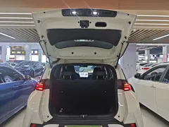2025 BYD Seagull Smart Driving 305km Freedom, белый — фото 19