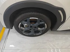 2025 BYD Seagull Smart Driving 305km Freedom, белый — фото 23