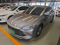 2023 BYD Qin PLUS Champion DM-i PHEV 55KM Leading — фото 2