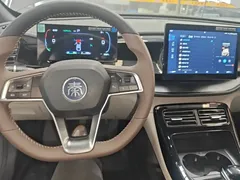 2023 BYD Qin PLUS Champion DM-i PHEV 55KM Leading — фото 10