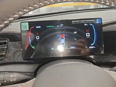 2023 BYD Qin PLUS Champion DM-i PHEV 55KM Leading — фото 12