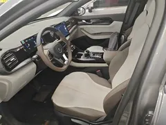 2023 BYD Qin PLUS Champion DM-i PHEV 55KM Leading — фото 15
