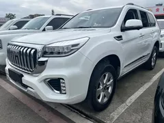 2022 Haval H9 2.0T Petrol 4WD Luxury 7-seat, белый — фото 1