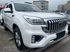 2022 Haval H9 2.0T Petrol 4WD Luxury 7-seat, белый — фото 3