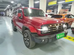 2021 Tank 300 City 2.0T — фото 4