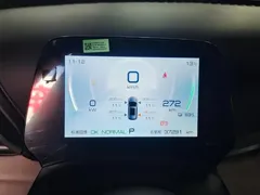 2023 BYD Yuan PLUS Champion 430km — фото 14