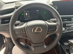 2023 Lexus ES 200 Excellence — фото 11
