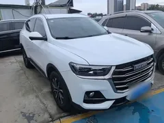 2023 Haval H6 1.5T AT Guochao Urban, белый — фото 4