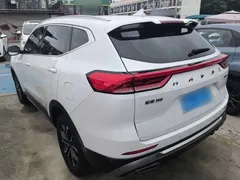 2023 Haval H6 1.5T AT Guochao Urban, белый — фото 5