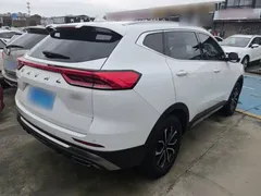 2023 Haval H6 1.5T AT Guochao Urban, белый — фото 7