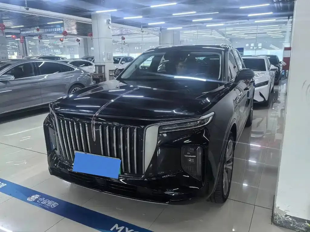 2022 Hongqi E-HS9 690km 6-seat