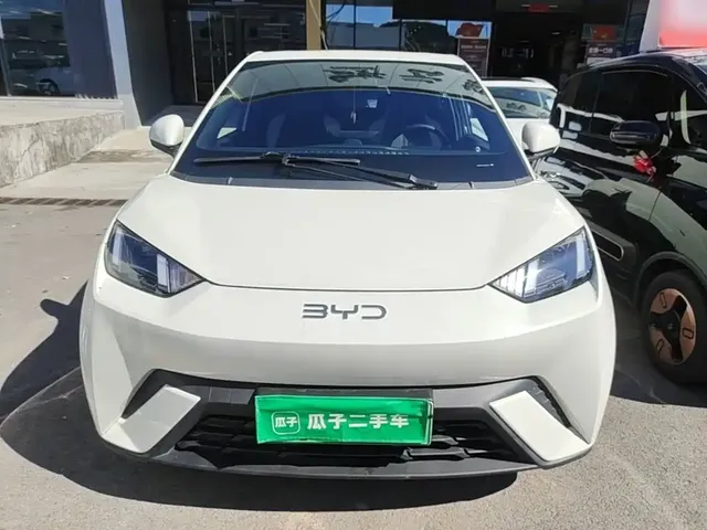 2025 BYD Seagull 305km Freedom