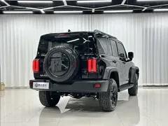 2021 Tank 300 Off-road 2.0T Conqueror, чёрный — фото 4