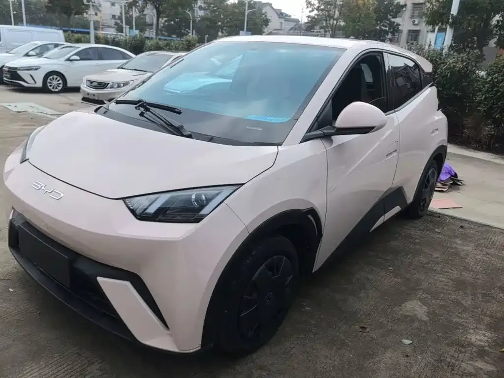 2023 BYD Seagull Vitality