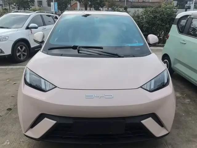 2023 BYD Seagull Vitality
