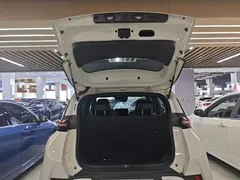 2025 BYD Seagull Smart Driving 305km Freedom, белый — фото 19
