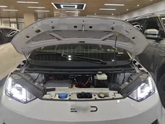 2025 BYD Seagull Smart Driving 305km Freedom, белый — фото 20