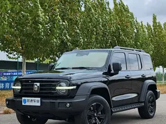 2021 Tank 300 Off-road 2.0T Conqueror, чёрный — фото 1