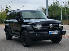 2021 Tank 300 Off-road 2.0T Conqueror, чёрный — фото 3