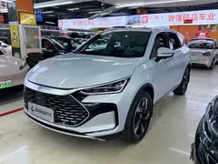 2024 BYD Tang DM-i PHEV Honor 112km Premium — фото 1