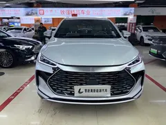 2024 BYD Tang DM-i PHEV Honor 112km Premium — фото 2