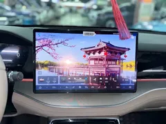 2024 BYD Tang DM-i PHEV Honor 112km Premium — фото 11