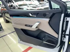 2024 BYD Tang DM-i PHEV Honor 112km Premium — фото 14