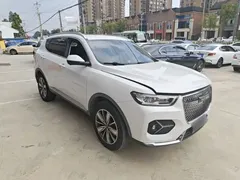 2021 Haval H6 1.5GDIT AT Champion, белый — фото 4