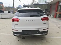 2021 Haval H6 1.5GDIT AT Champion, белый — фото 6