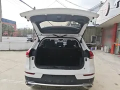 2021 Haval H6 1.5GDIT AT Champion, белый — фото 19
