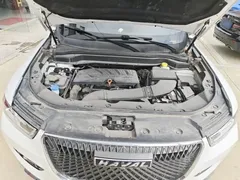 2021 Haval H6 1.5GDIT AT Champion, белый — фото 20