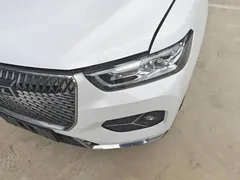 2021 Haval H6 1.5GDIT AT Champion, белый — фото 24