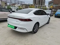 2024 BYD Qin PLUS EV 510km Excellence, белый — фото 7