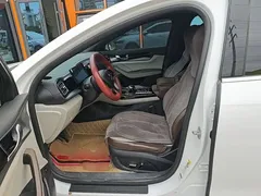 2024 BYD Qin PLUS EV 510km Excellence, белый — фото 15