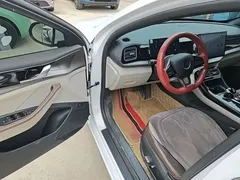2024 BYD Qin PLUS EV 510km Excellence, белый — фото 16