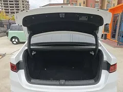 2024 BYD Qin PLUS EV 510km Excellence, белый — фото 19
