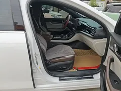 2024 BYD Qin PLUS EV 510km Excellence, белый — фото 25
