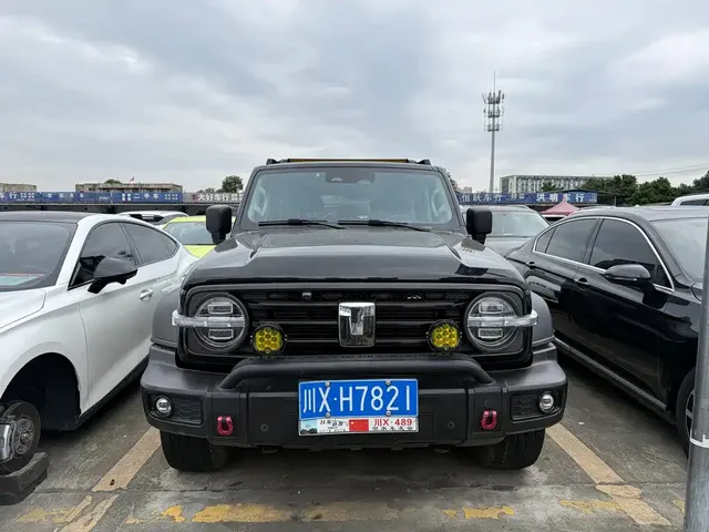 2021 Tank 300 Off-road 2.0T Conqueror