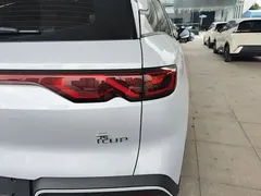 2024 BYD Yuan UP 401km Leading — фото 19