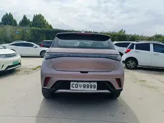 2023 BYD Dolphin 420km Freedom — фото 7