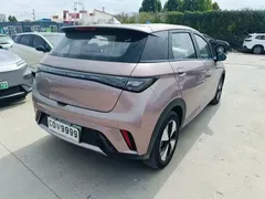 2023 BYD Dolphin 420km Freedom — фото 9